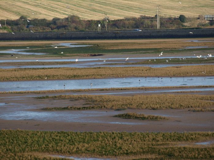 Hayle Causeway from Lelant Saltings